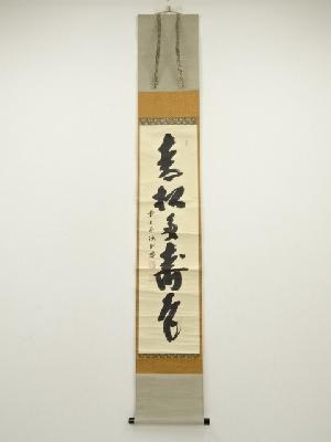 前大徳　藤井誡堂筆　「青松多寿色」一行書　肉筆紙本掛軸（共箱）